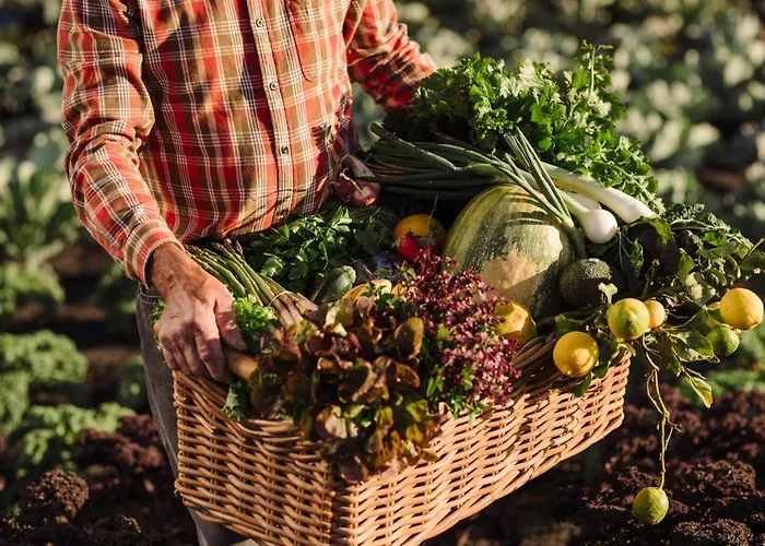 El Guarapo Appart hôtel